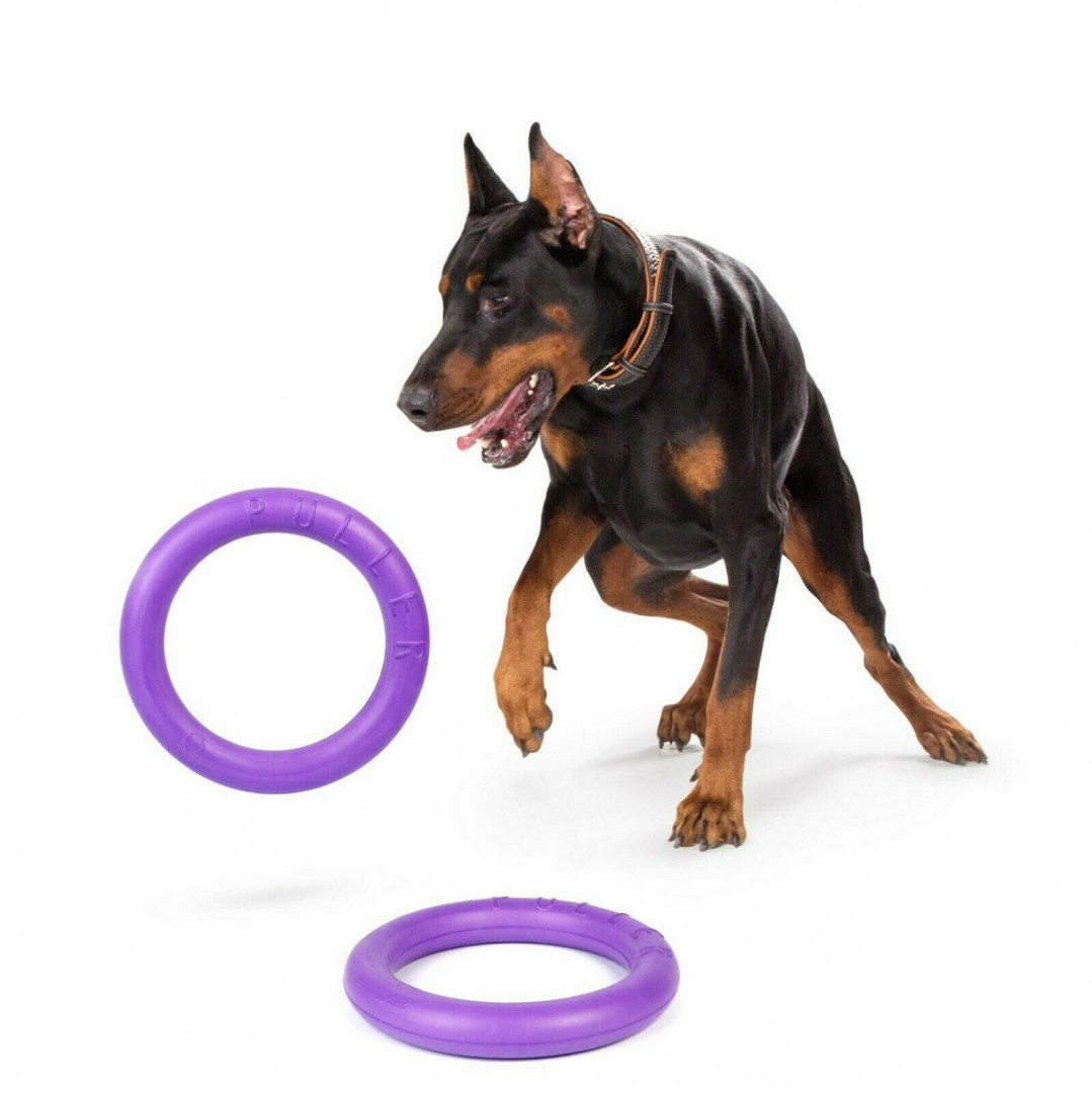 PULLER DOG TRAINING MINI