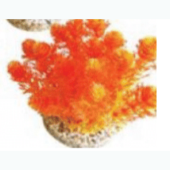 Nano Grass Bush 9Cm