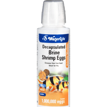 Waterlife Fish Food Decapsulated Brine Shrimp Eggs 100Ml