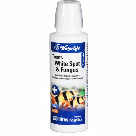 Waterlife Protozin 100Ml