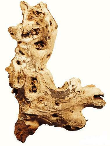Fluval Mopani Driftwood - Medium - 20 x 35 cm (7.8 X 13.8 in)