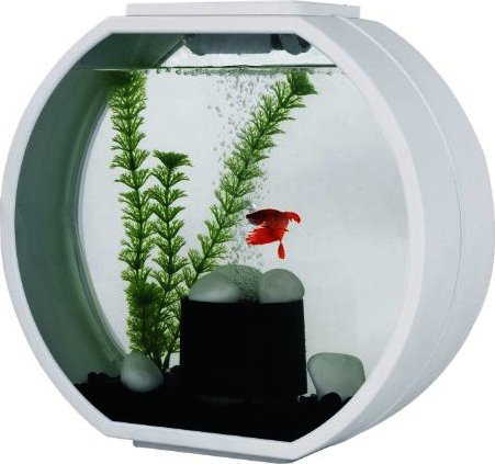 Aquarium (AA) "Deco O Mini" 10l (34 * 14 * 31) white
