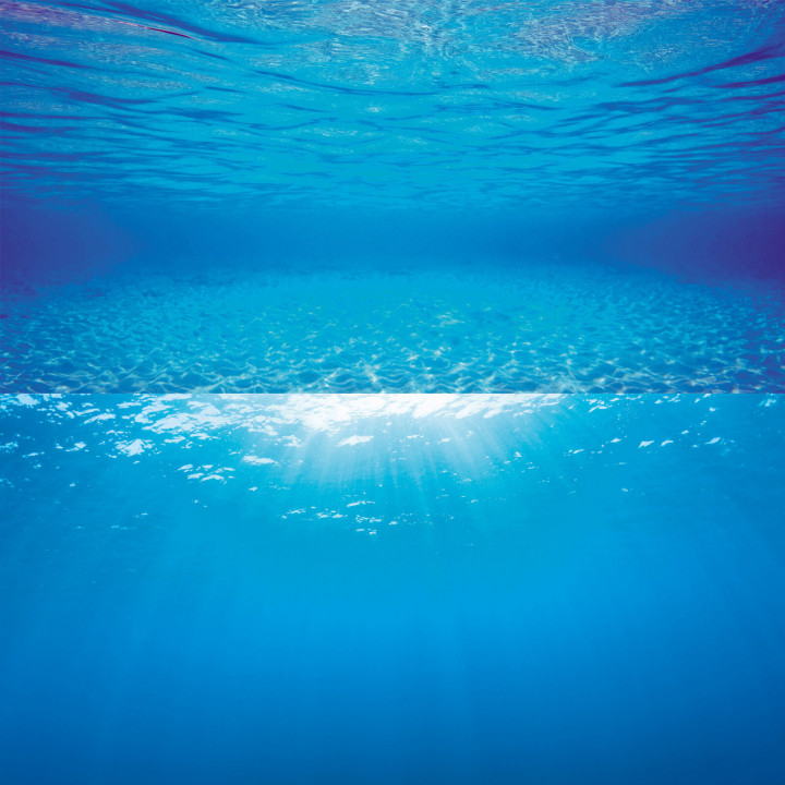 JUWEL AQUARIUM DOUBLE POSTER 2 - LARGE FISH TANK BACKGROUND
