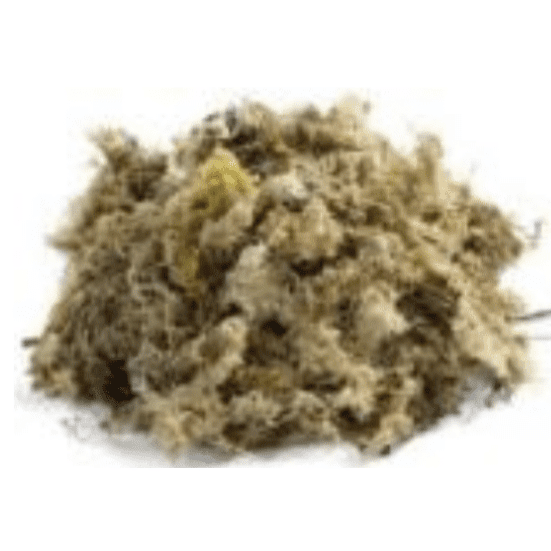 Sphagnum Moss 150Gr