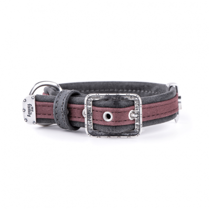 Myfamily London Dog Collar In Fine Crafted Leatherette