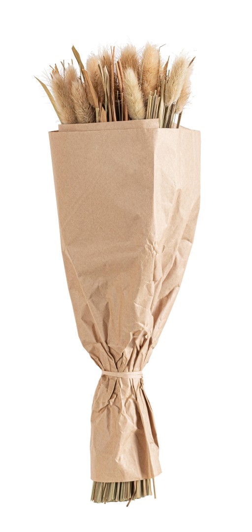 Indoor Decorative Bunches Beige / Διακοσμητικά Ξερά Λουλούδια Gayle Μπεζ Υ42Εκ