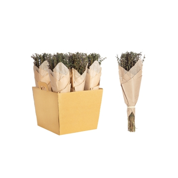 Indoor Decorative Bunches / Διακοσμητική Δέσμη Αποξηραμένων Λουλουδιών Jayla Πράσινο ​​