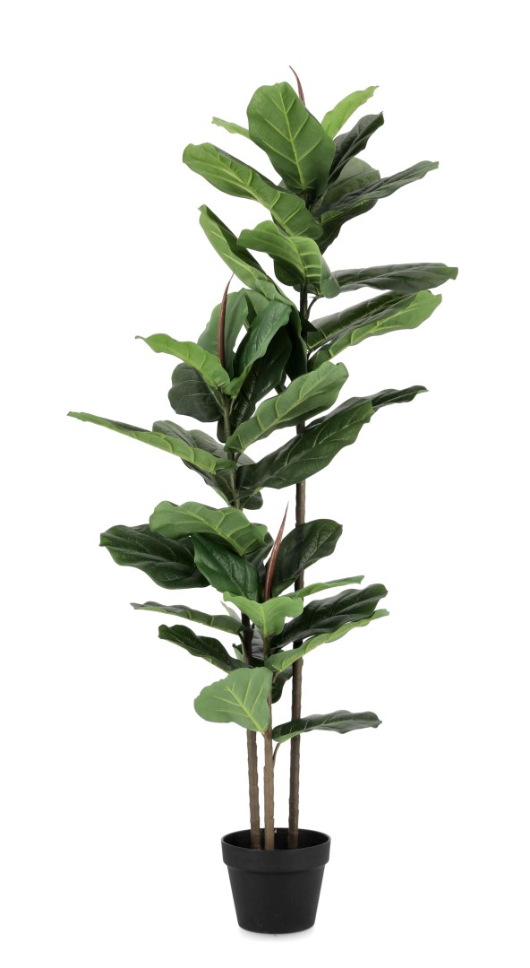 Outdoor Decorative Plant Pot / Διακοσμητικό Φυτό Με Γλάστρα Ficus Lyrata Πράσινο H145Cm 39 Φύλλα