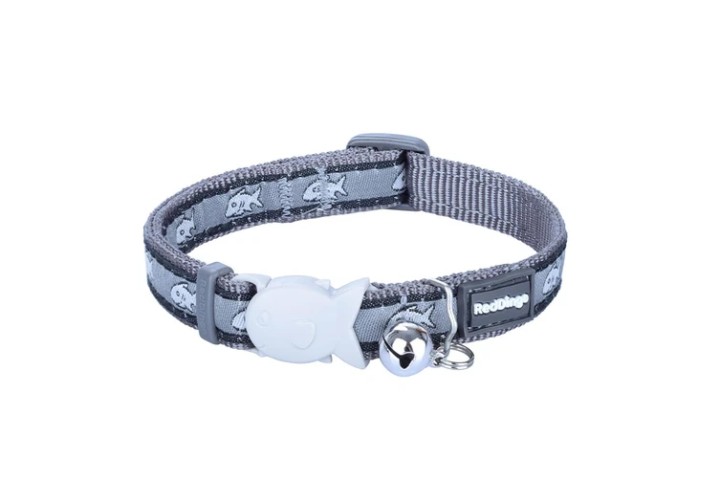 Red Dingo Ed Dinco Shark Grey On Cool Grey
