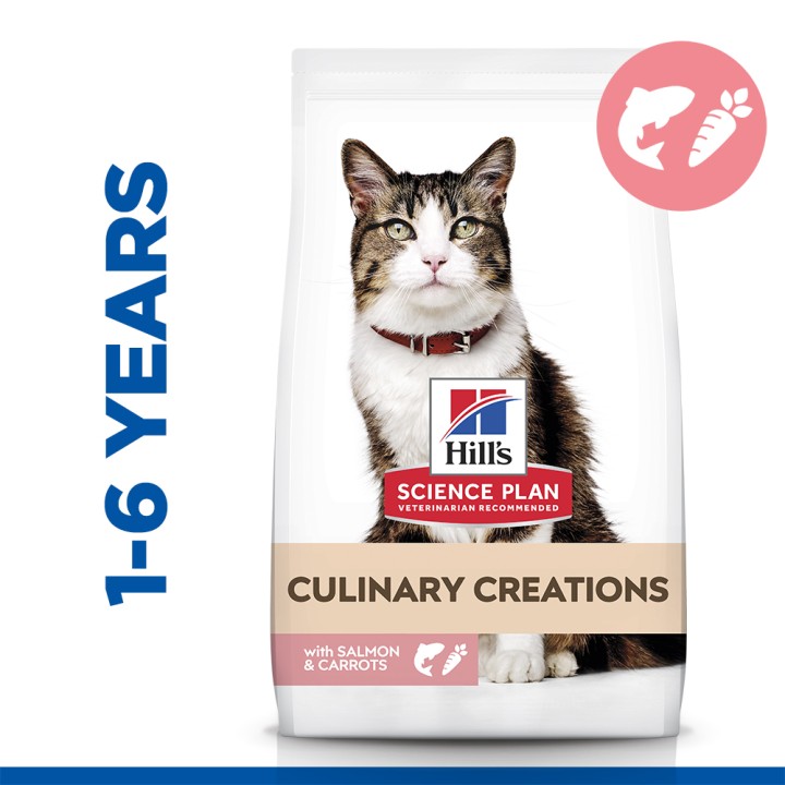 Hill's Science Plan Culinary Creations Feline Adult With Salmon And Carrots - 10 Kg