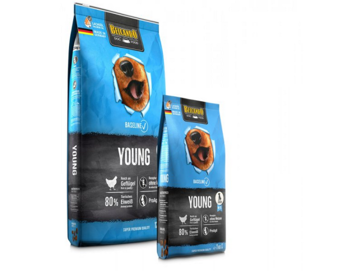 Belcando Baseline Young - 12.5 Kg