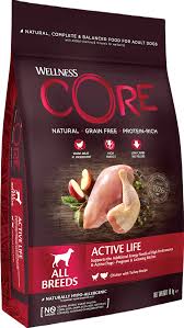 Wellness Core Active Life With Chicken And Turkey For All Breeds Dry Dog Food - 10 Kg