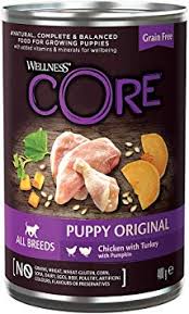 Wellness Core Dog Puppy Chicken With Turkey - 400gr