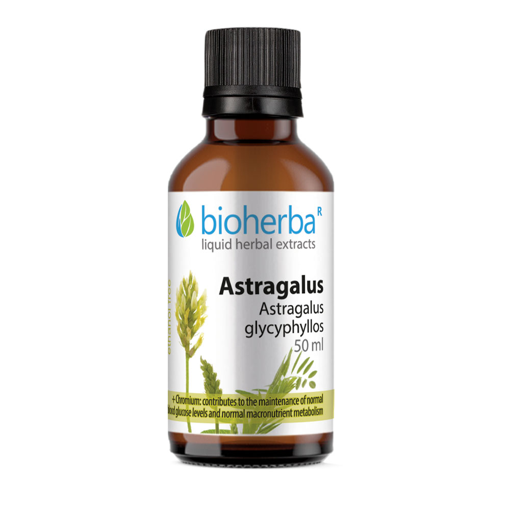 Astragalus Tincture, 50 ml, Bioherba