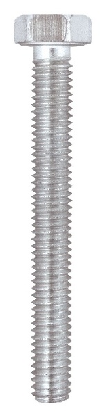Friulsider Corner Screw Brass 8X50 10Pcs