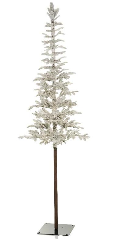 CANADA CHRISTMAS TREE 573 TIPS 210CM