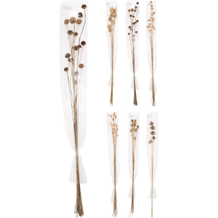 DECORATIVE DRIED FLORAL STICKS - ASSORTED DESIGNS