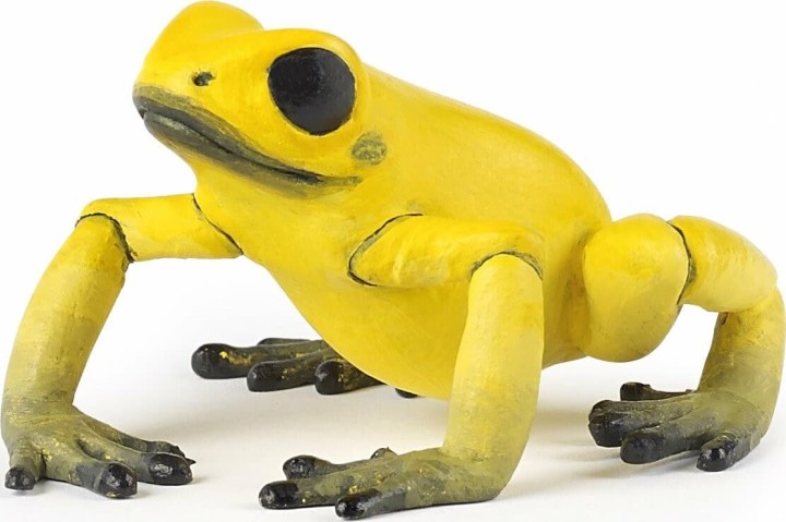 PAPO YELLOW EQUATORIAL FROG ΚΙΤΡΙΝΟΣ ΒΑΤΡΑΧΟΣ