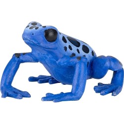 PAPO BLUE EQUATORIAL FROG ΜΠΛΕ ΒΑΤΡΑΧΟΣ