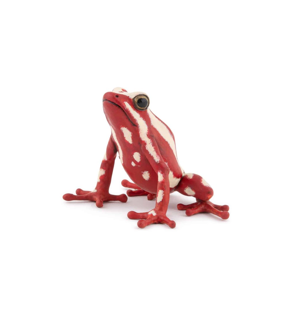 PAPO POISON DART FROG ΔΗΛΗΤΗΡΙΩΔΕΣ ΒΑΤΡΑΧΟΣ