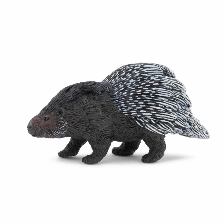 PAPO PORCUPINE ΑΚΑΝΘΟΧΟΙΡΟΣ