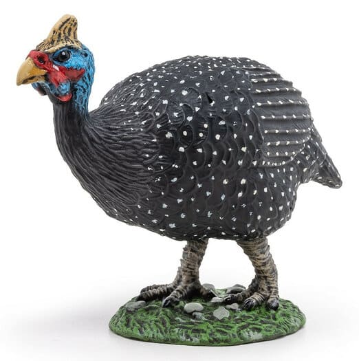 PAPO GUINEA FOWL ΠΟΥΛΕΡΙΚΟ