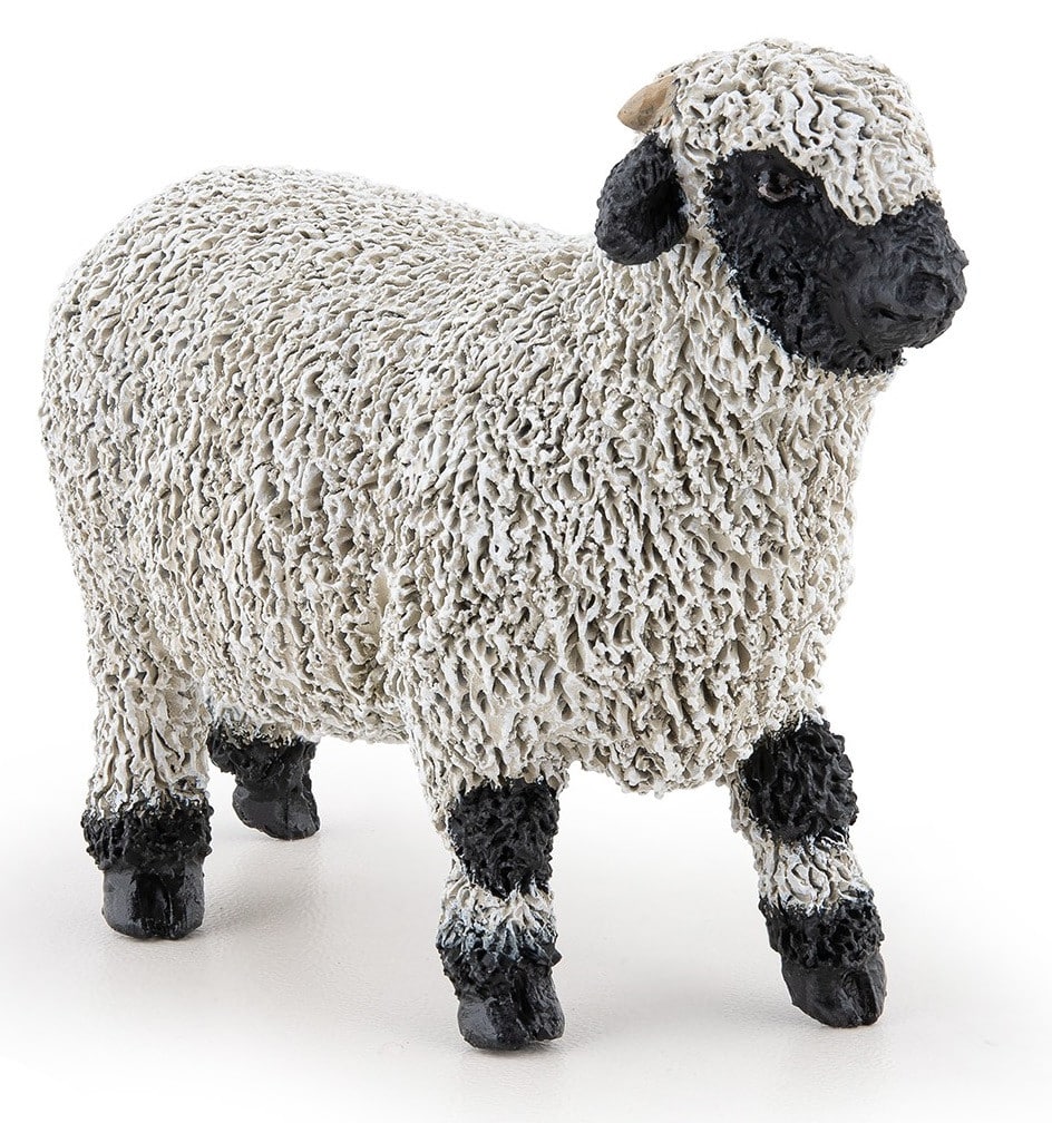 PAPO VALAIS BLACKNOSE SHEEP ΠΡΟΒΑΤΟ