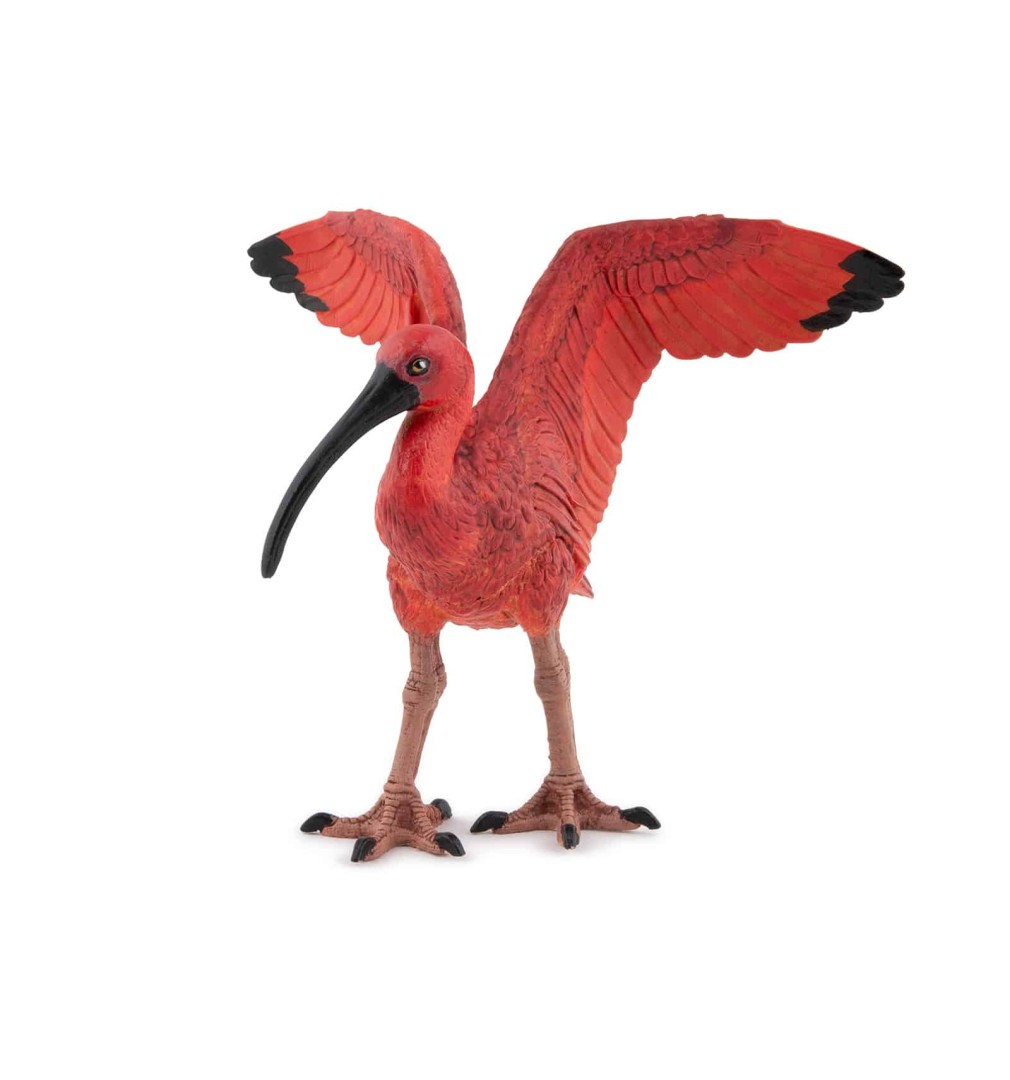 PAPO SCARLET IBIS ΚΟΚΚΙΝΗ ΙΒΙΣ