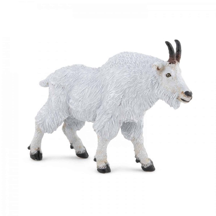 PAPO CANADIAN GOAT ΚΑΝΑΔΙΚΗ ΚΑΤΣΙΚΑ