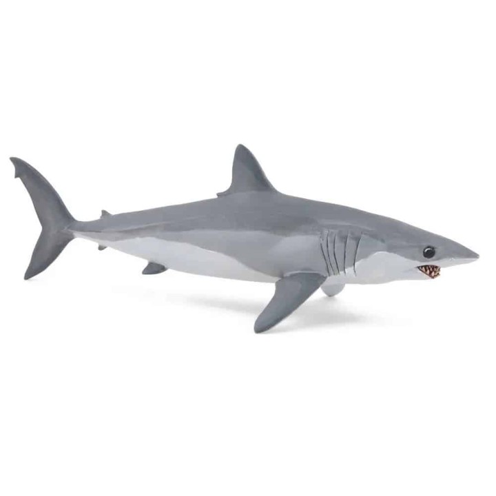 PAPO MAKO SHARK ΚΑΡΧΑΡΙΑΣ