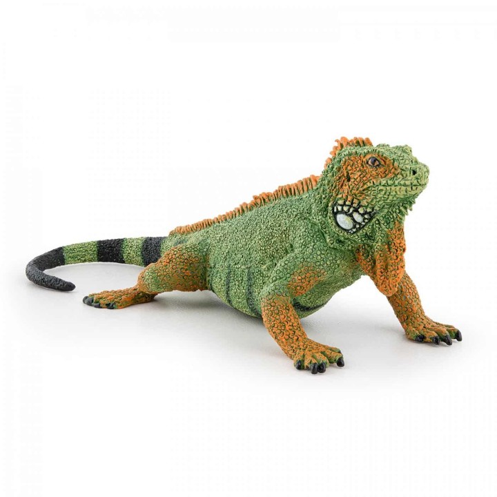 PAPO IGUANA ΙΓΚΟΥΑΝΑ