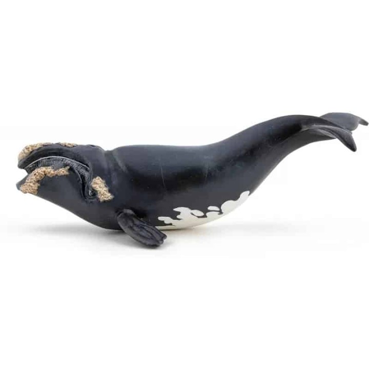 PAPO GREEN MARINE LIFE RIGHT WHALE FIGURE ΦΑΛΑΙΝΑ