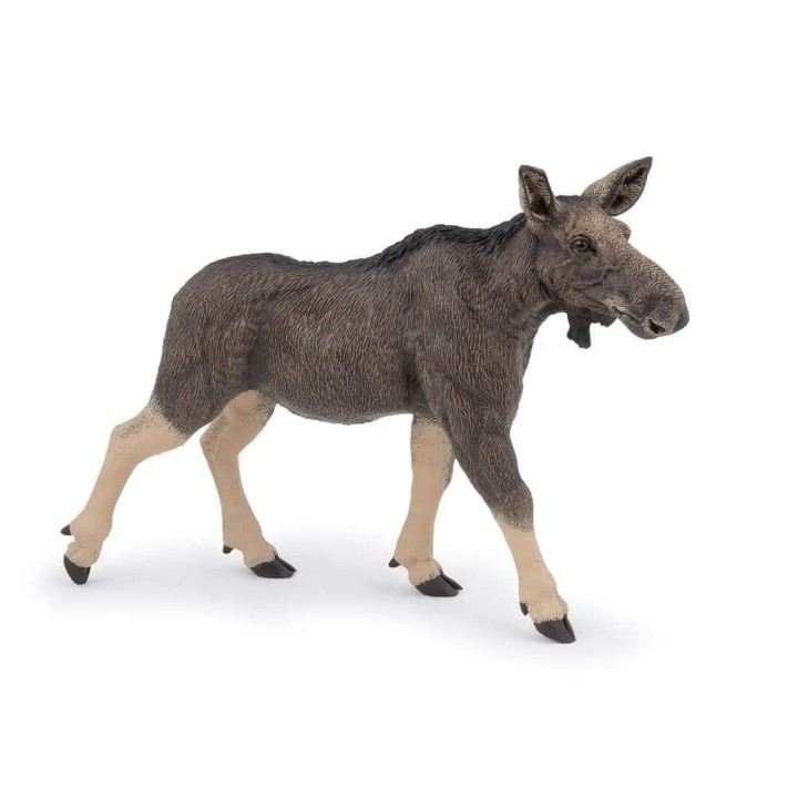 PAPO FEMALE ELK ΘΗΛΥΚΟΣ ΤΑΡΑΝΔΟΣ