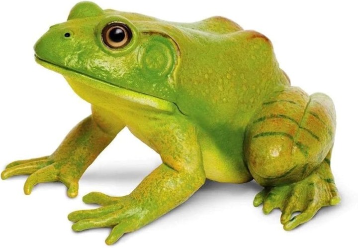 PAPO WILD AMERICAN BULLFROG FIGURE ΒΑΤΡΑΧΟΣ