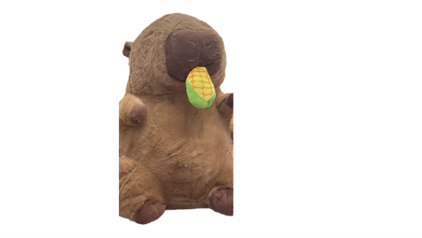 Capybara plush funny