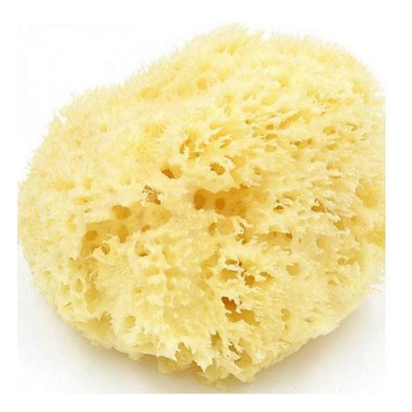 Beauty Spring 2 Natural Sponge Medium Size 1Pcs