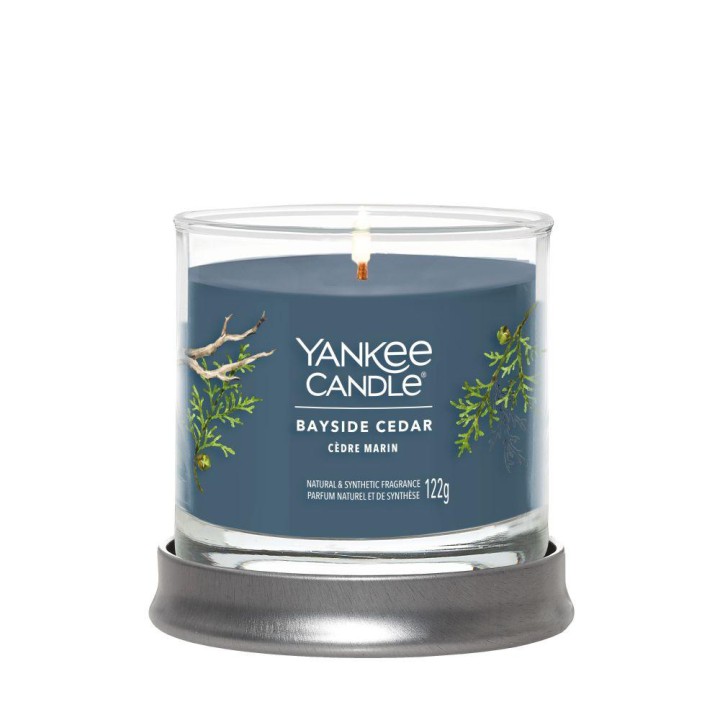 Yankee Candle Small Jar – Bayside Cedar, 3x37g