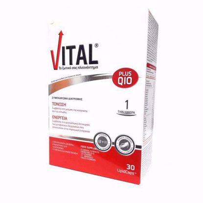 Vital Plus Energy & Stimulation Q10 Capsules 30