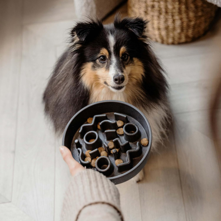 District 70 Bamboo Slow FeederDog Bowl/ Dark Grey 21cm