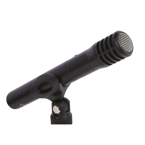 Tascam Tm-60 – condenser microphone, versatile use