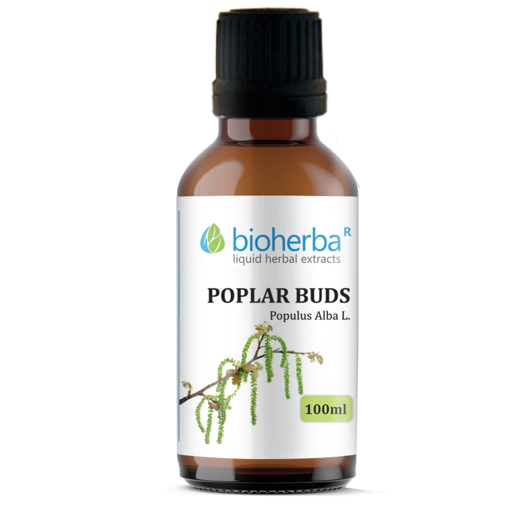 Poplar Buds Tincture, 100 ml, Bioherba