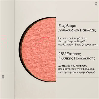 Korres Fresh powder Blush Warm Peach 02 4.5g – powder blush peach