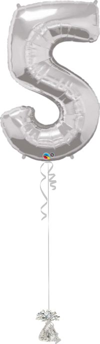 Giant Number 5 Silver