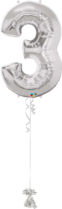 Giant Number 3 silver