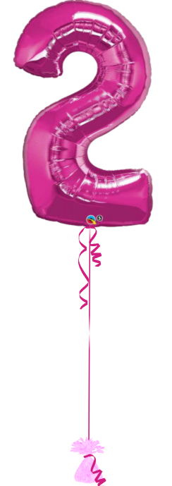 Giant Number 2 Fuxia