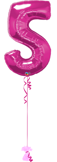 Giant Number 5 Fuxia
