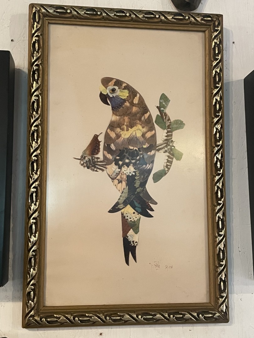 Vintage Parrot Folk Art Butterfly Wings 0.8Kg 28Cmx44Cm (Wxlxh)