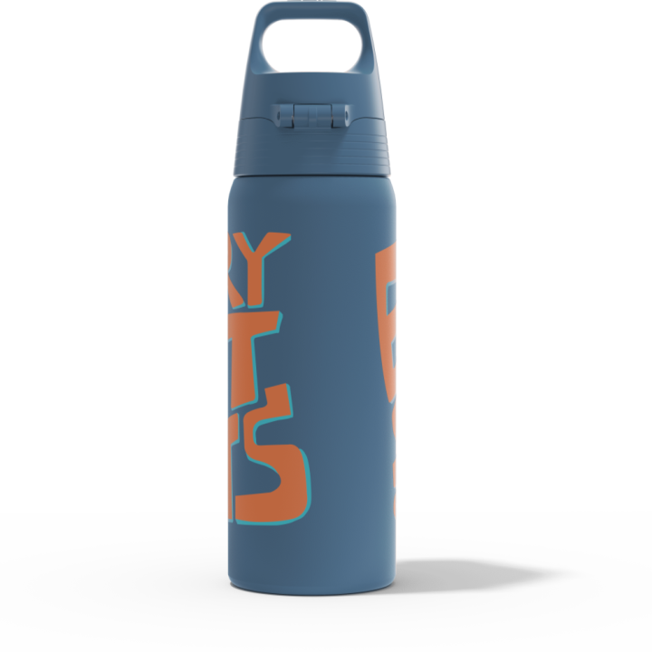 Sigg Ballgame Blue Thermos Bottle 0.5L