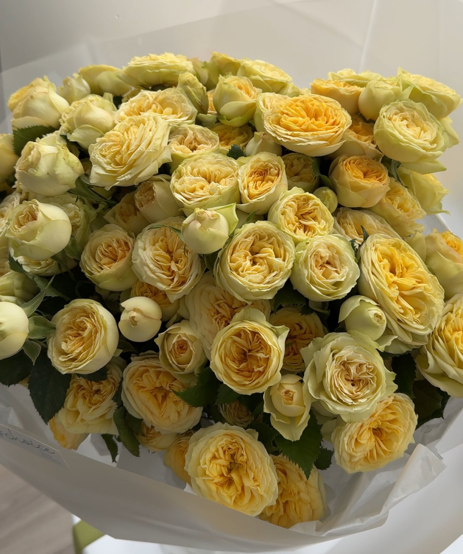 Yellow Spray Roses