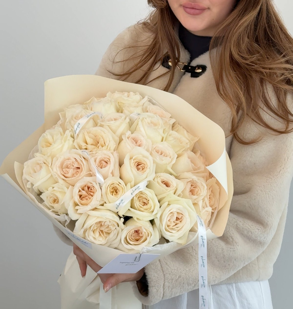 White Ohara Roses